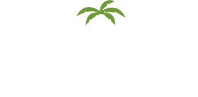 Palmapalmetto