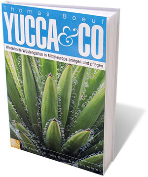 Yucca & Co
