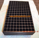 Anzuchtplatte, Pikierplatte mit 150 Öffnungen 51cm x 33cm