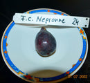 Ficus carica "Negronne"  14-18 Lt. Topf